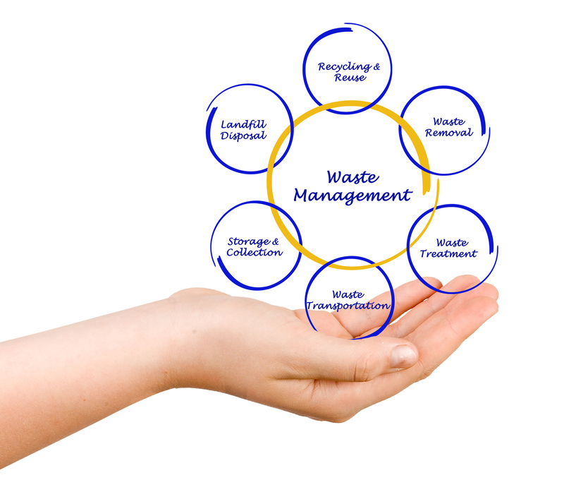 Innovative Approaches to Kids' Recycling Education